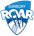 Roar logo2